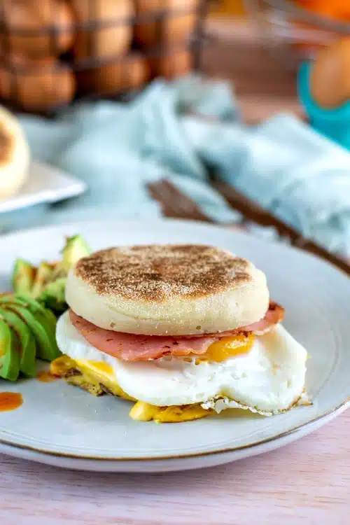 egg muffins