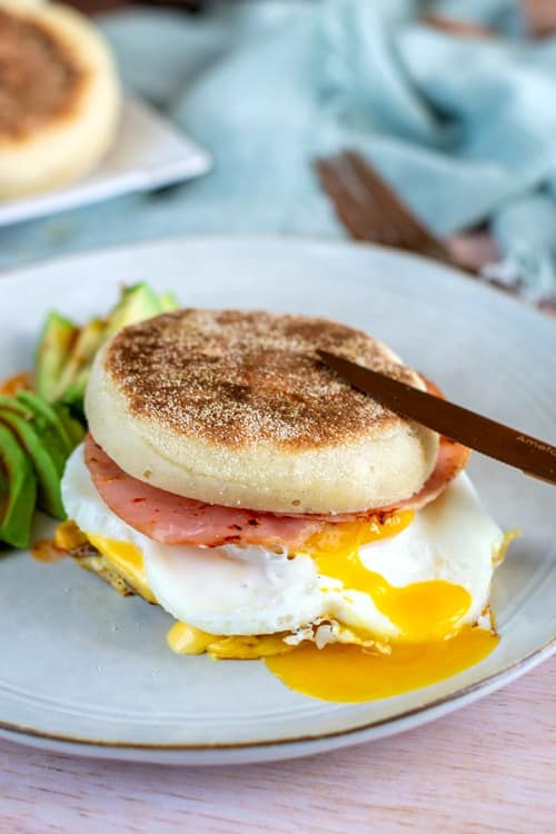egg muffins