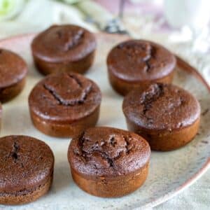 petits moelleux au chocolat