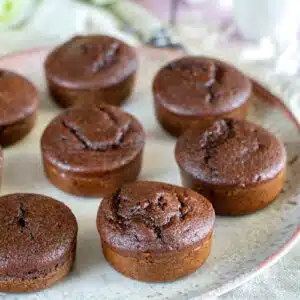 petits moelleux au chocolat