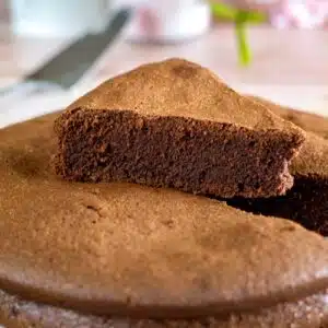 moelleux aux chocolat