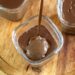 petites crèmes dessert au chocolat sans oeuf